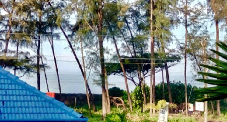 Mare Blu Resort Kochi Luaran gambar